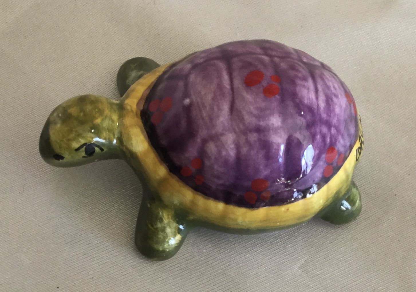 Small turtle 6x4 (1)