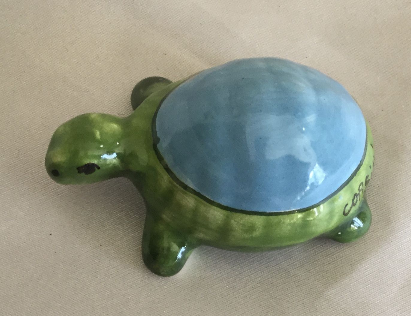 Small turtle 6x4 (2)